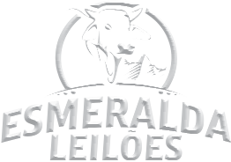 LOGO ESMERALDO LEILÕES