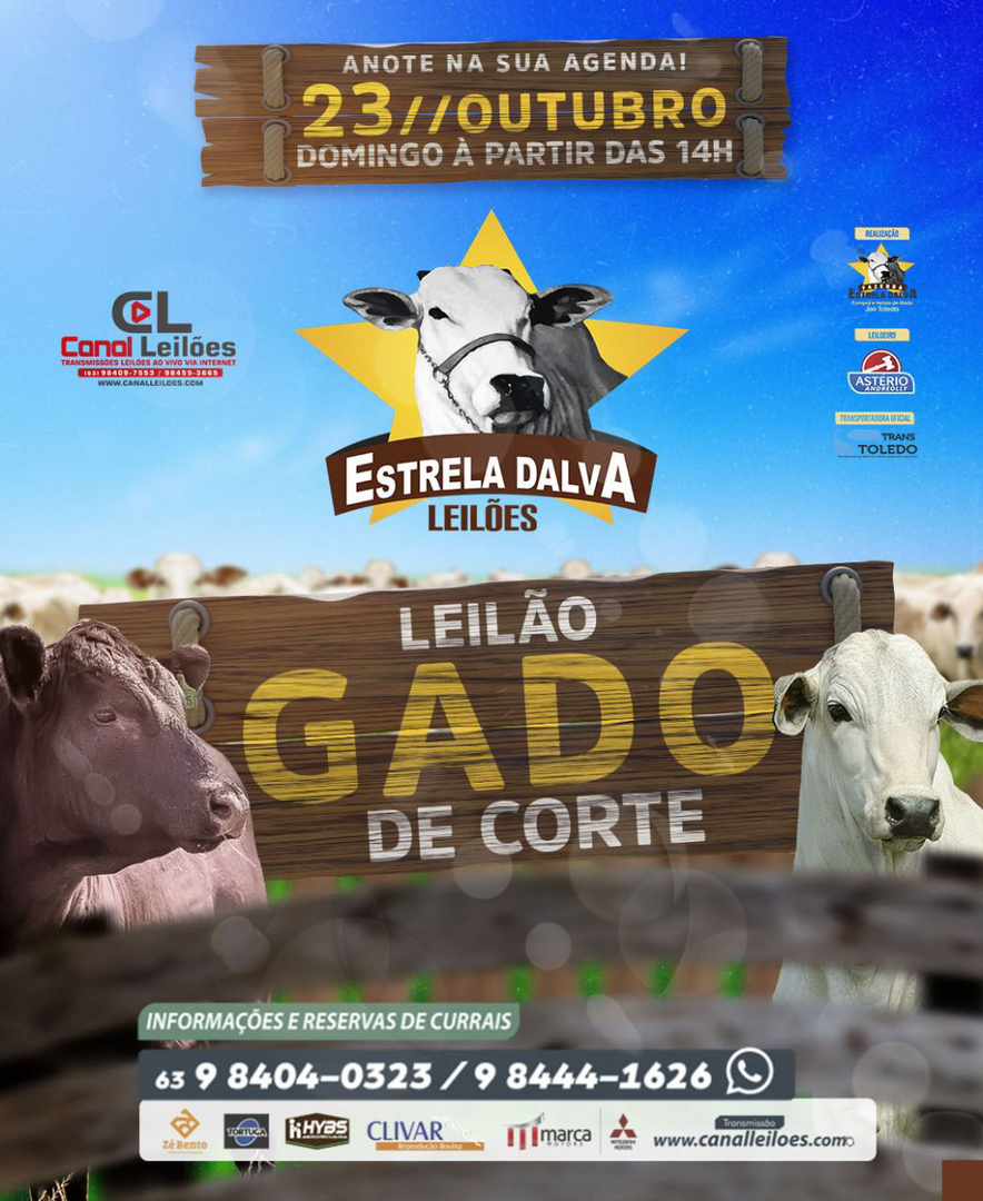 LEILÃO ESPECIAL DE GADO DE CORTE - ESTRELA DALVA LEILÕES